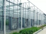 China Greenhouse Glass