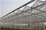 Low-iron Glass Greenhouse